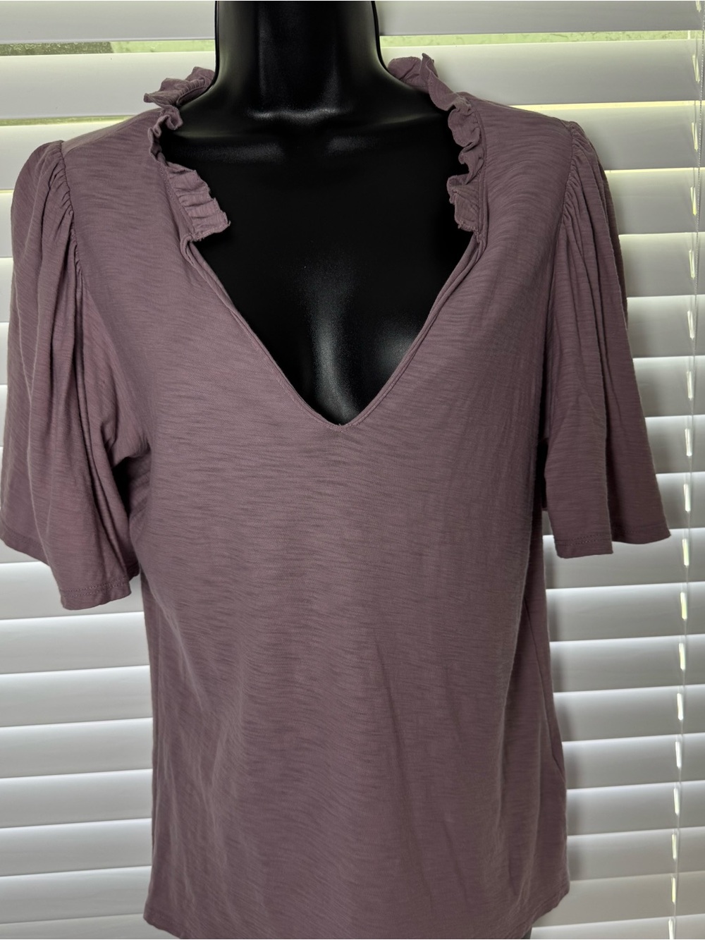 Nation LTD Mauve V-Neck Ruffle Short Sleeve Tee